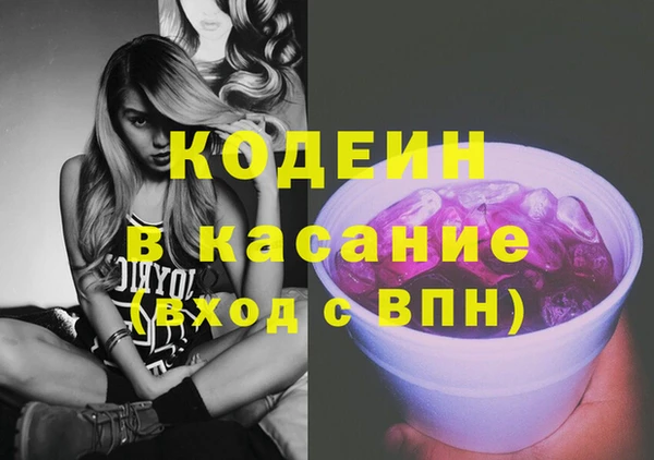 ПСИЛОЦИБИНОВЫЕ ГРИБЫ Арсеньев